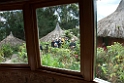 Ambua lodge.200923jul_0254