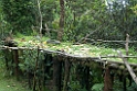 Mt. Hagen Lodge.200923jul_0250