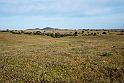 Castro Verde.20160413_7498