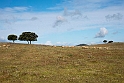 Castro Verde.20160413_7503