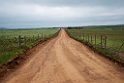 Castro Verde plains.20150408_3301