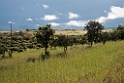 Castro Verde plains.20150409_3255
