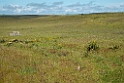 Castro Verde plains.20150409_3260
