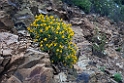Guadiana Valley Natural Park.20150409_3287