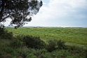 Tagus reserve area.20150406_2375