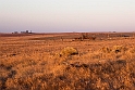 Castro Verde steppe.20160919_1337