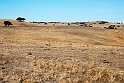 Mertola steppe.20160918_1342