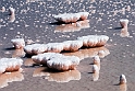 Salt.20160920_1311