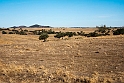 Steppe Mertola.20160918_1341