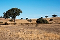Steppe Mertola.20160918_1344