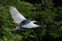 Nathejre.20150804._DSC6794