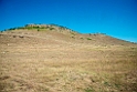 Steppeknold.20150803_5302