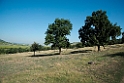 Tulce area.20150803.20150803_5301