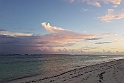 Bird Island.20161119_181516