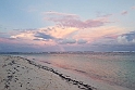 Bird Island.20161119_181700