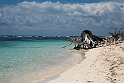 Bird Island.21061122_DSC4348