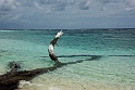 Bird Island.21061122_DSC4354