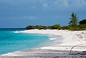 Bird Island.21161122_DSC4337