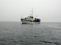 DSCN1385