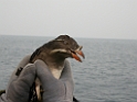 DSCN1403