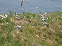 DSCN1429