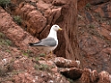 DSCN1431a