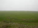 DSCN1441