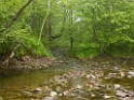 DSCN1451