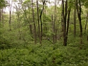 DSCN1462e