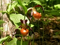 DSCN1477