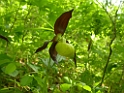 DSCN1484