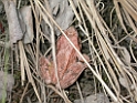 DSCN1522