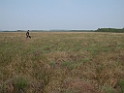 DSCN1525a