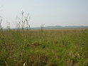 DSCN1526