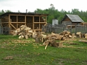 DSCN1558