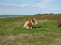 DSCN1582