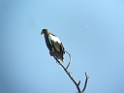 DSCN1590