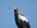 DSCN1618