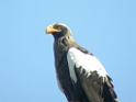 DSCN1621