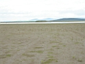 DSCN1631