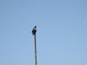 DSCN1640