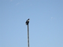 DSCN1641