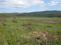 DSCN1642