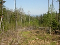 DSCN1645