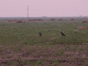 DSCN1668a