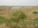 DSCN1679
