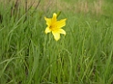 DSCN1680