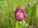 DSCN1685