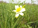 DSCN1688