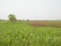 DSCN1689